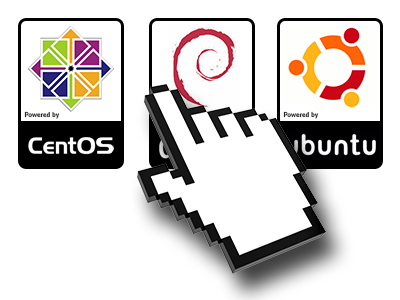 A Variety of Linux OS’s